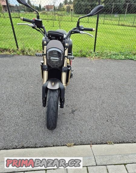benelli-leoncino-800-2022