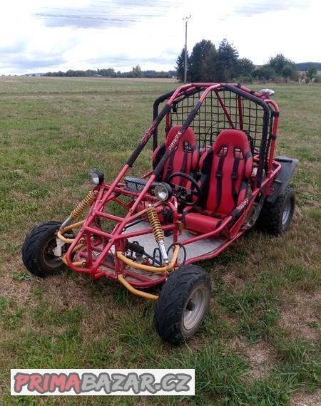 buggy-bugina