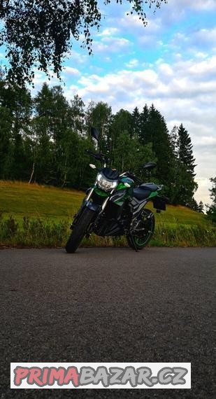 senke-leopard-125