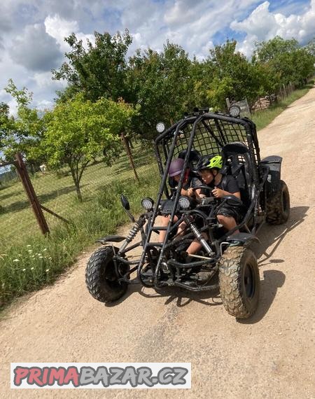 bugy-buggy-bugyna