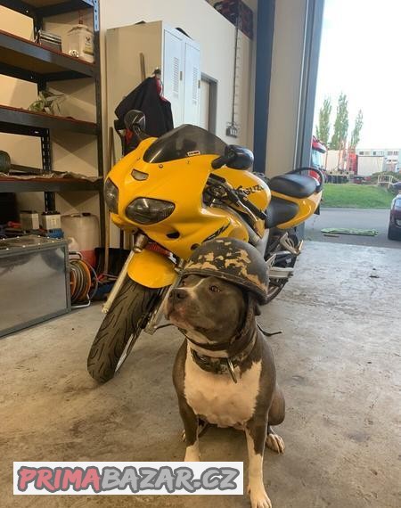 suzuki-sv-650s