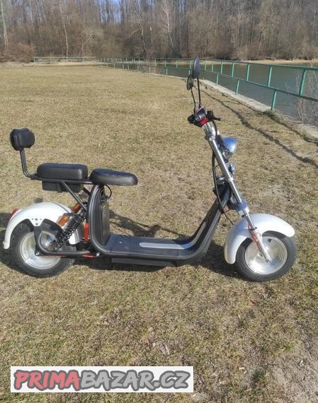 elektrokolobezka-eco-highway-silver-line-3000w