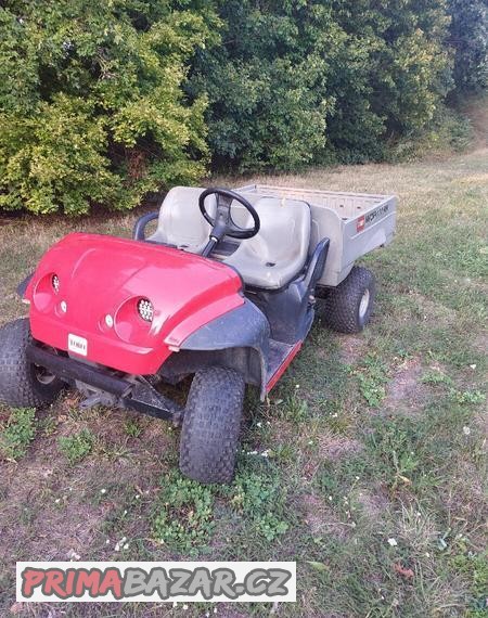 toro-workman