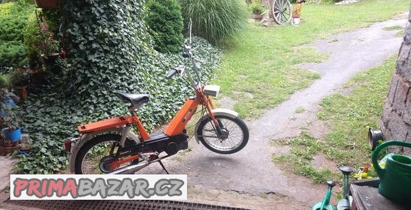 babeta-207