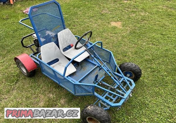 buggy
