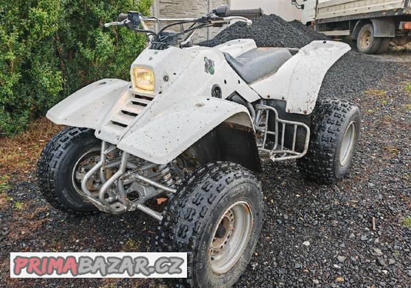 kawasaki-mojave-300-off-road