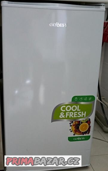 goddes-cool-mala-lednice