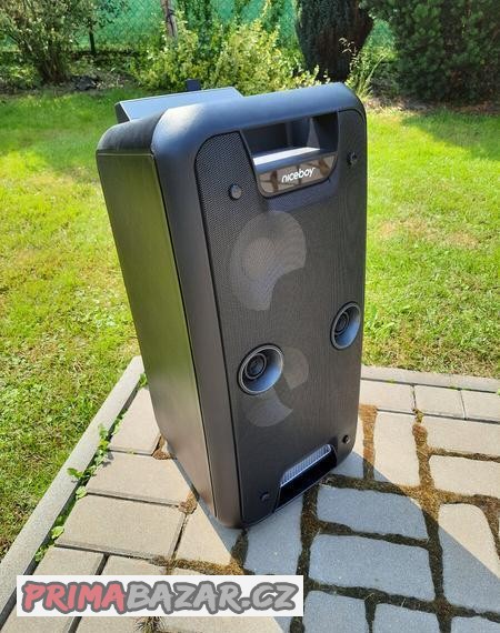 party-reproduktor-niceboy-party-boss-200w