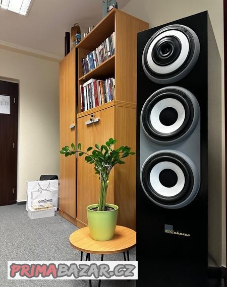 cabasse-pacific-600-evolution-black-wood