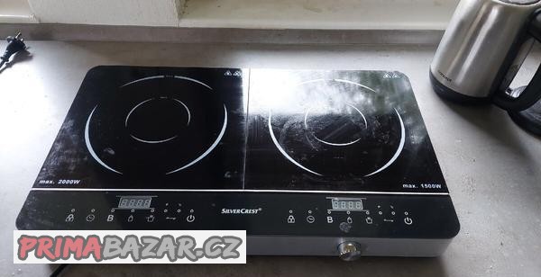 indukce