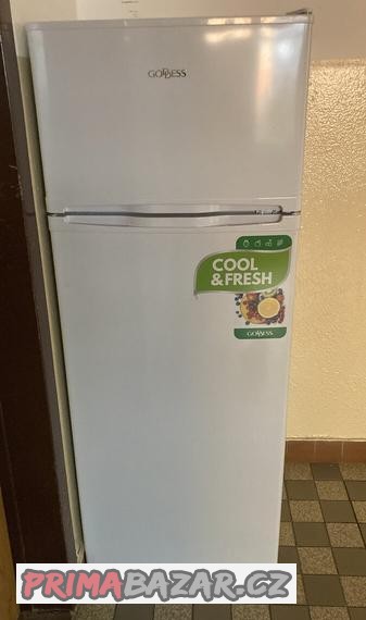 lednice-s-mrazakem-zn-goddess