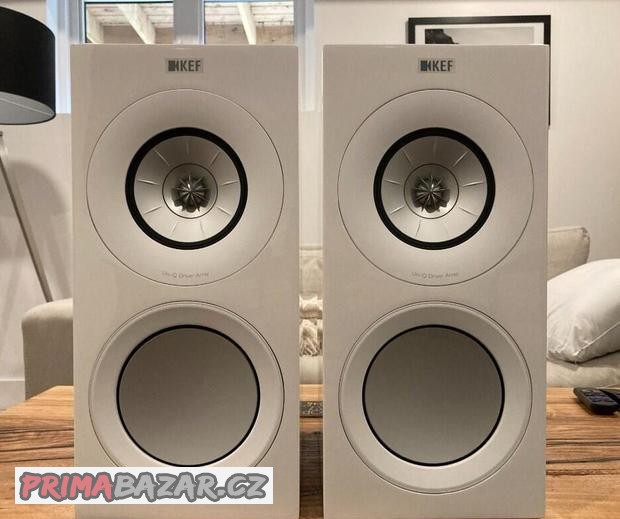 kef-r3-bily-lesk