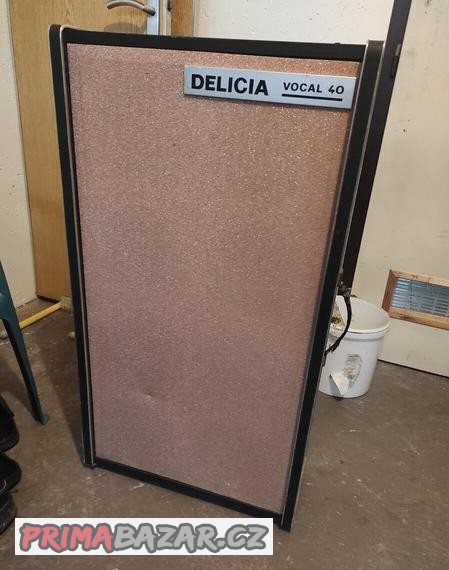 delicia-vocal-40
