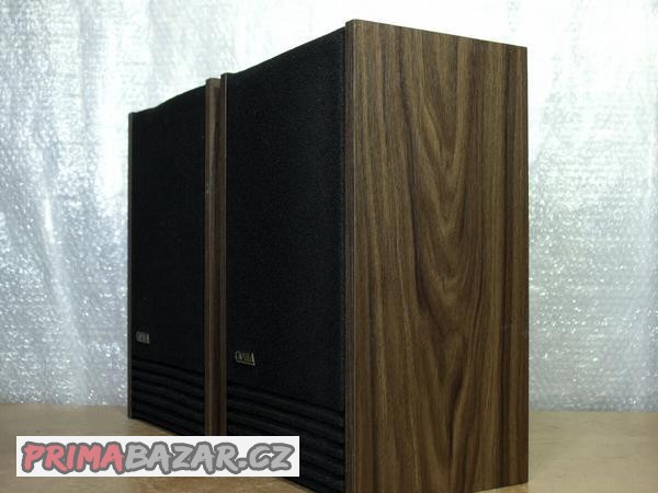 reprobedny-bose-capella