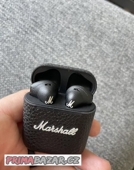 sluchatka-marshall-minor-3