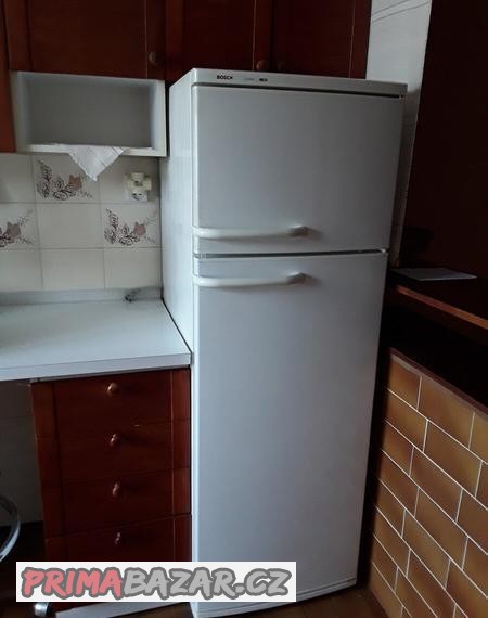 lednicka-bosch-s-mraznickou