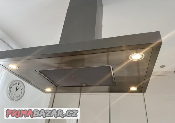 sirius-vykonna-ostruvkova-digestor