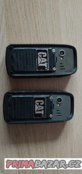 cat-b25
