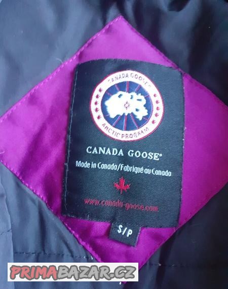 bunda-canada-goose