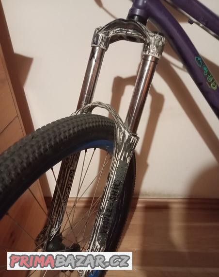 specialized-p1