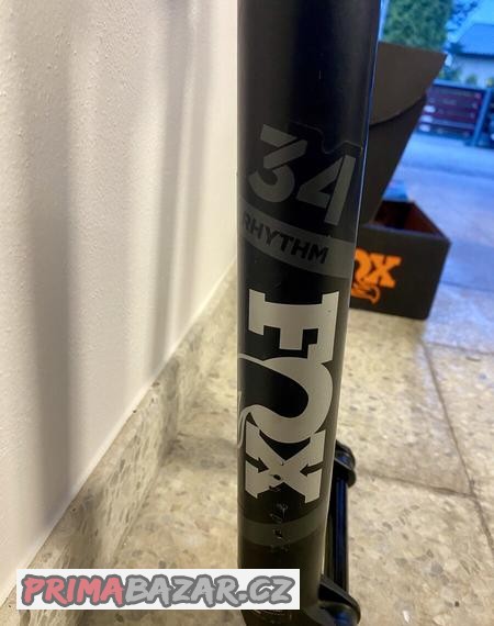 fox-rythm-34