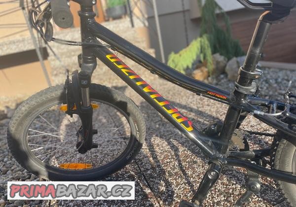 specialized