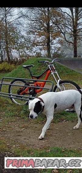 sjezdove-kolo-specialized
