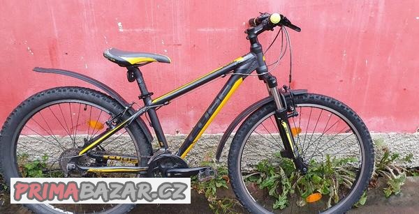cube-race-260