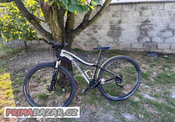 damske-kolo-specialized-jett